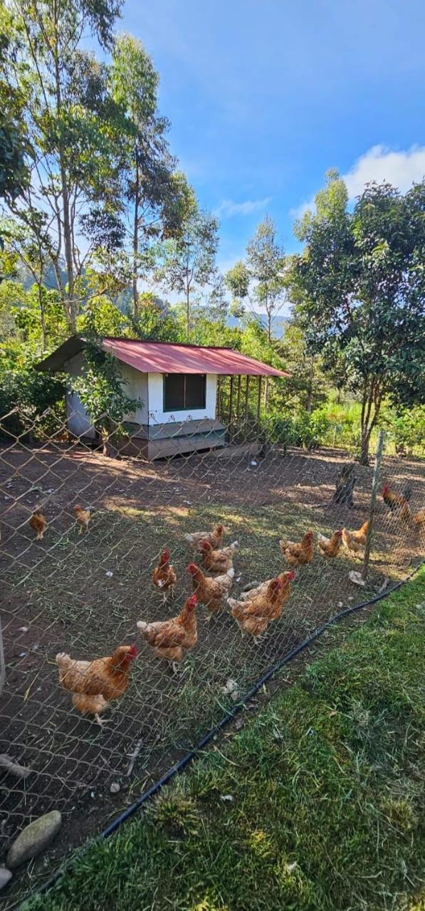 Hassinger Ranch Cabanas 옥사팜파 외부 사진