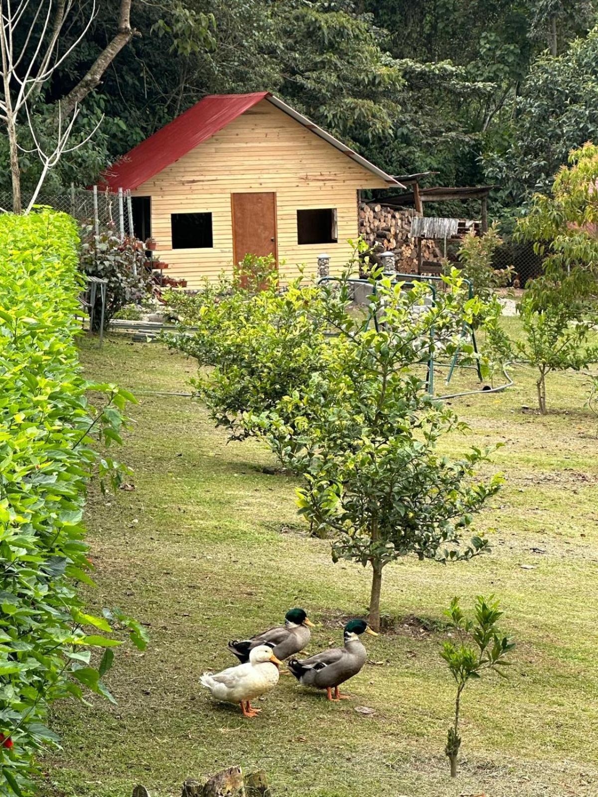 Hassinger Ranch Cabanas 옥사팜파 외부 사진